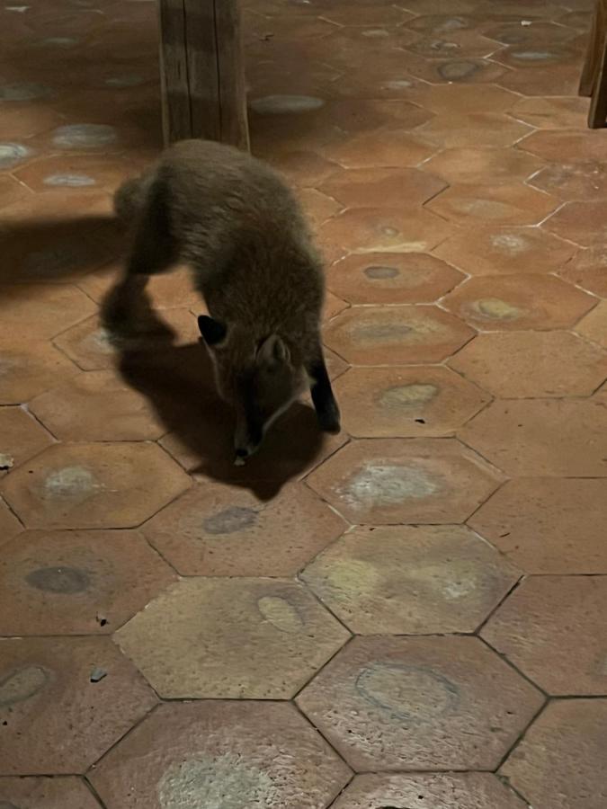 Willa Il Frutteto Di Efesto Biancavilla Zewnętrze zdjęcie